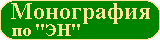 Монография по "ЭН"
